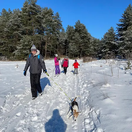 Lantgård Dom Wsrod Sosen *