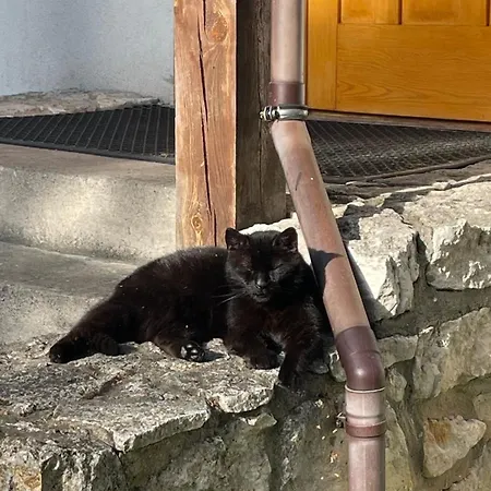 Alloggio per agriturismo Dom Wsrod Sosen