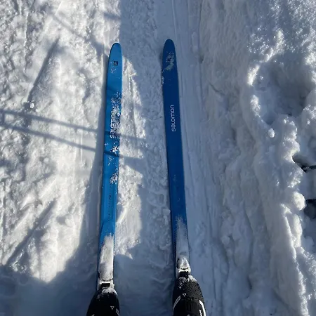 Dom Wsrod Sosen * Rzedkowice