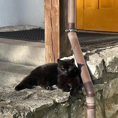 Dom Wsrod Sosen Alloggio per agriturismo