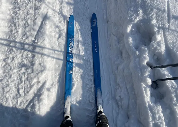 Dom Wśród Sosen * Rzedkowice